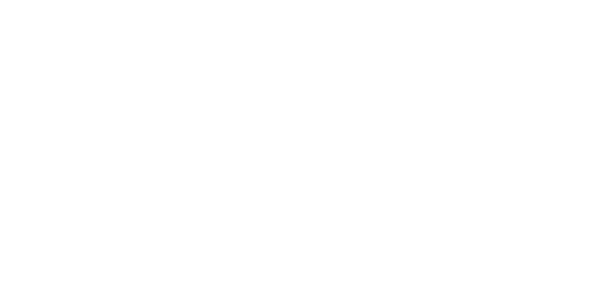 NBO Logo